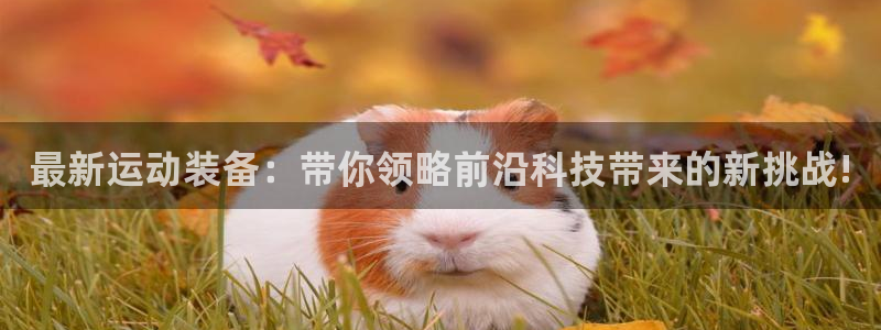 征途国际娱乐:最新运动装备:带你领略前沿科技带来的新挑战!