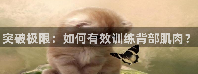 征途国际招商电话号码查询:突破极限:如何有效训练背部肌肉?