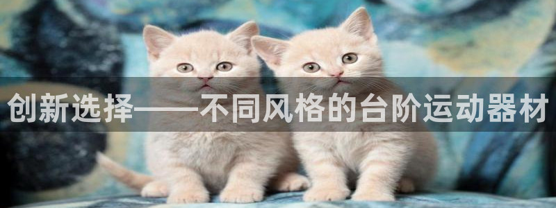 征途国际招商电话号码:创新选择——不同风格的台阶运动器材