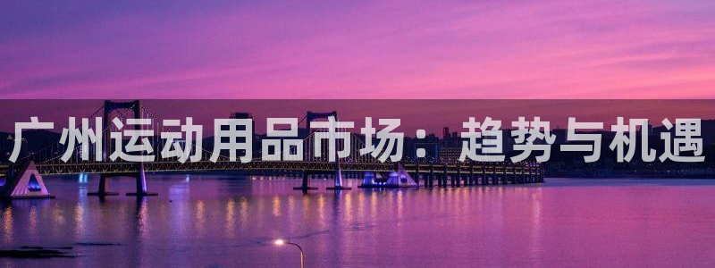 海南征途国际:广州运动用品市场:趋势与机遇