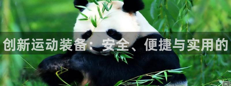 征途国际招商电话号码查询是多少:创新运动装备:安全、便捷与实